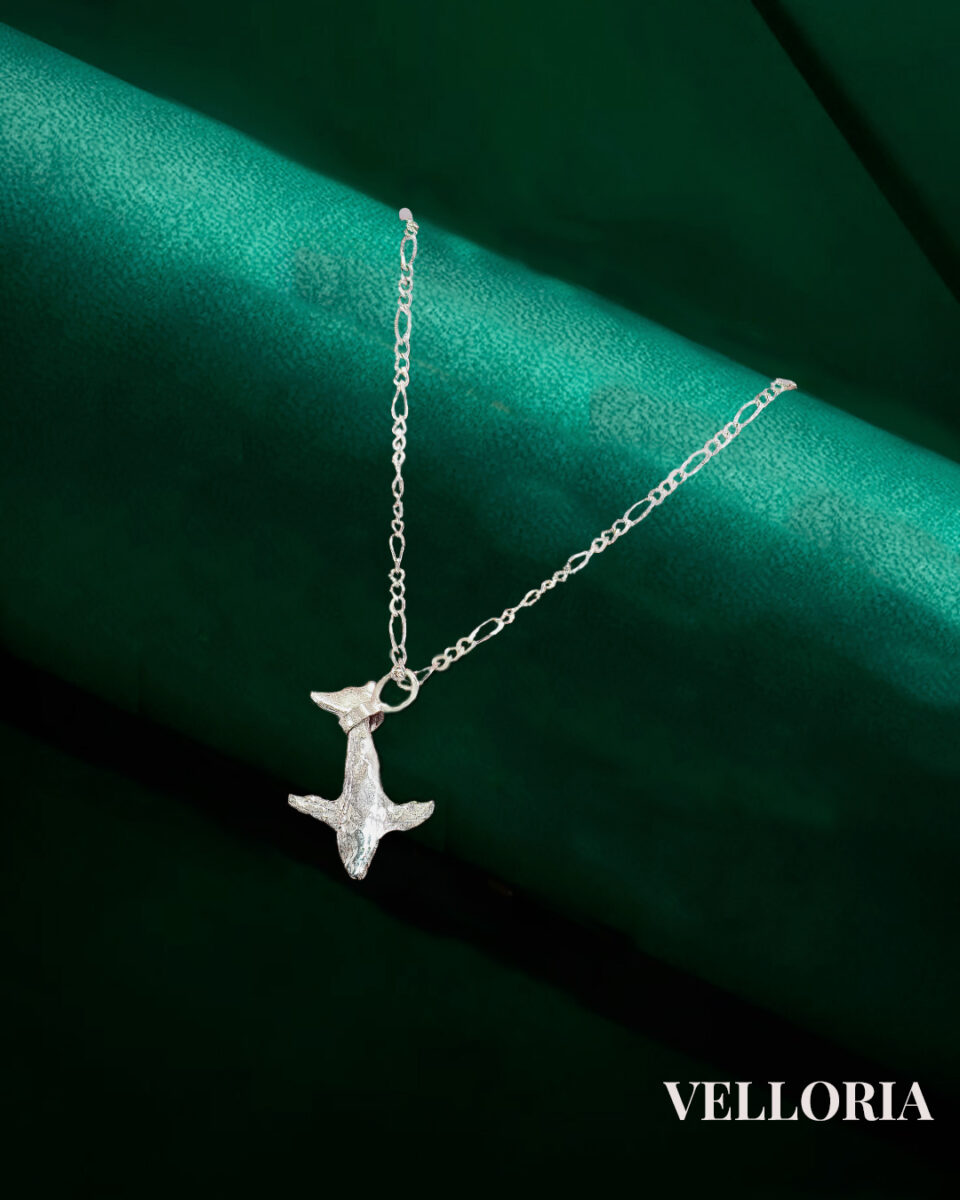 Cadena: Círculo Marino