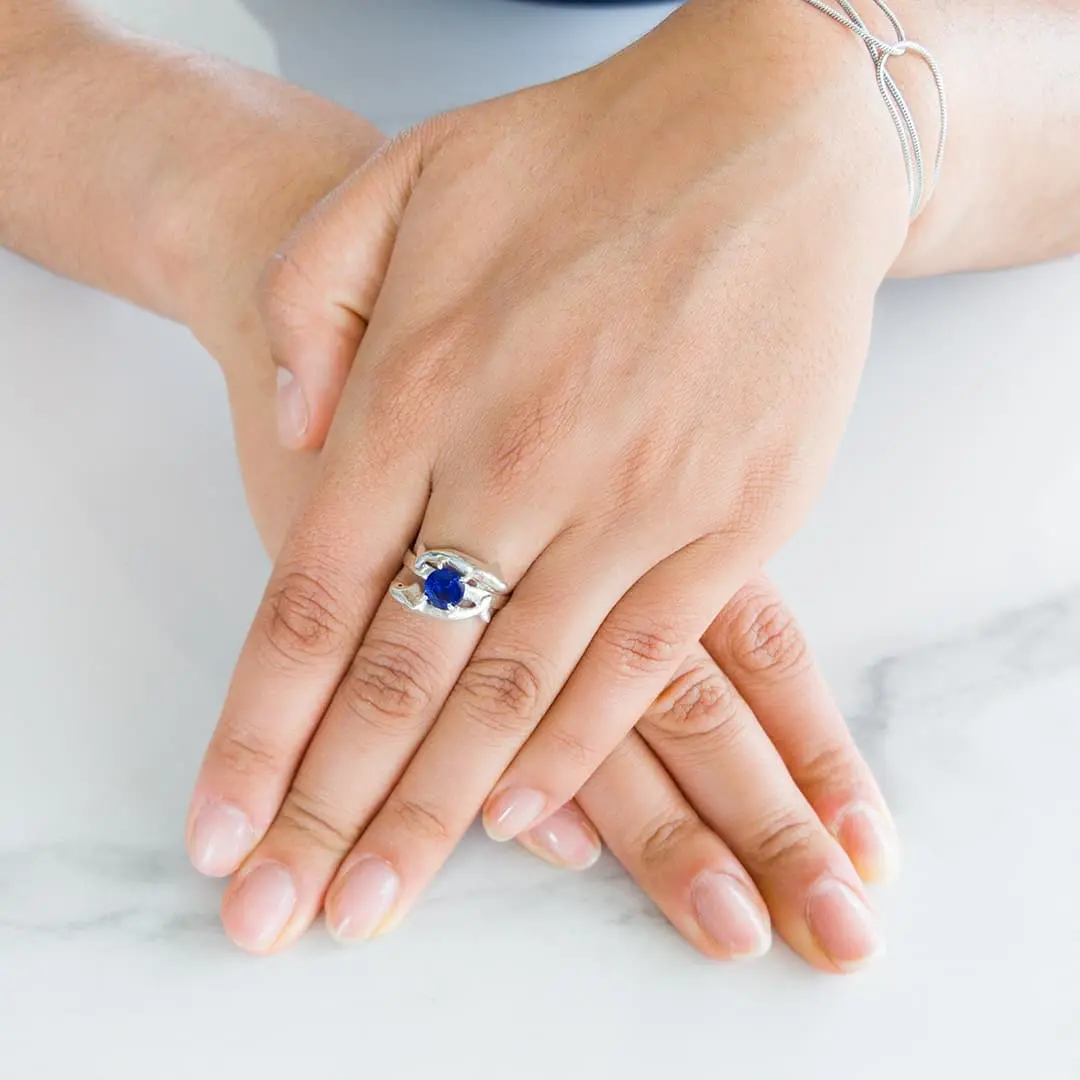 Anillo Delfines Oceánicos